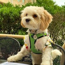 Tun Tavern Restaurant & Brewery restaurant view 5