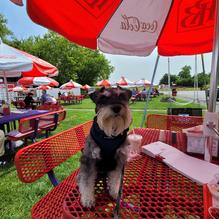 The Red Barn restaurant view 2