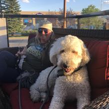 Regal Beagle Pub restaurant view 1