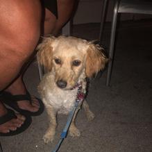 Stir restaurant view 1