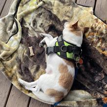 The Other Place Bar & Grill restaurant view 2