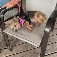 The Other Place Bar & Grill restaurant view 1