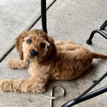 The Brown Bag Bistro restaurant view 1