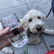 The Noble Pig restaurant view 3