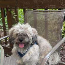 Tropics restaurant view 2