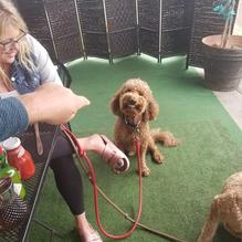 Hot Brew restaurant view 3