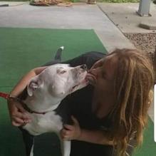 Hot Brew restaurant view 2