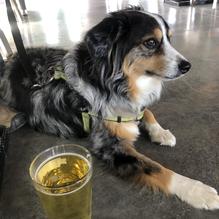 The Bigfoot Taproom restaurant view 2