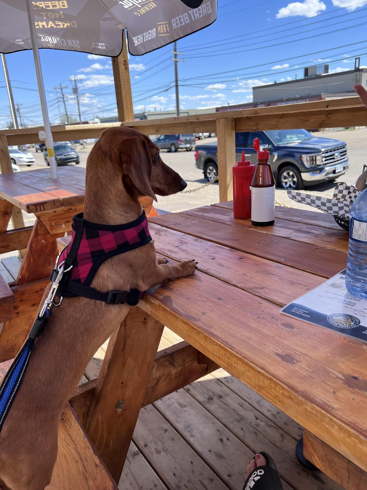 Sea Change Brewing Co. restaurant view 2