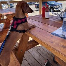 Sea Change Brewing Co. restaurant view 2