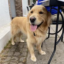 Bridge Street Tap Room restaurant view 6