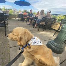 Bridge Street Tap Room restaurant view 5