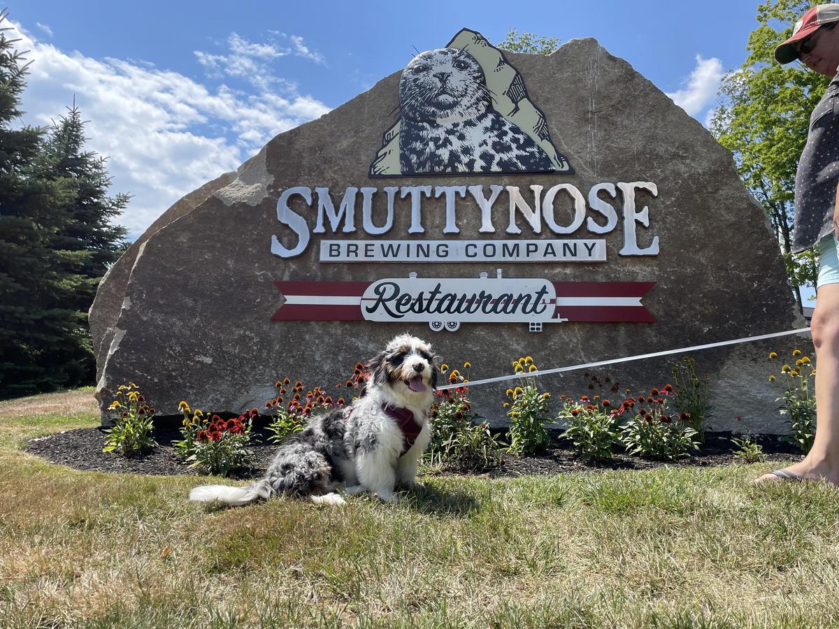 Smuttynose Restaurant restaurant view 2