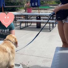 Louie's Tap House restaurant view 1