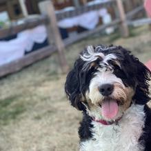 Barnside Brewing Co. restaurant view 3