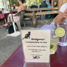 Restaurant Gastrognome restaurant view 3