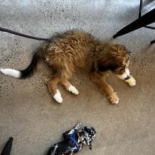 Lake City Cider restaurant view 2