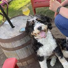 Barnside Brewing Co. restaurant view 1