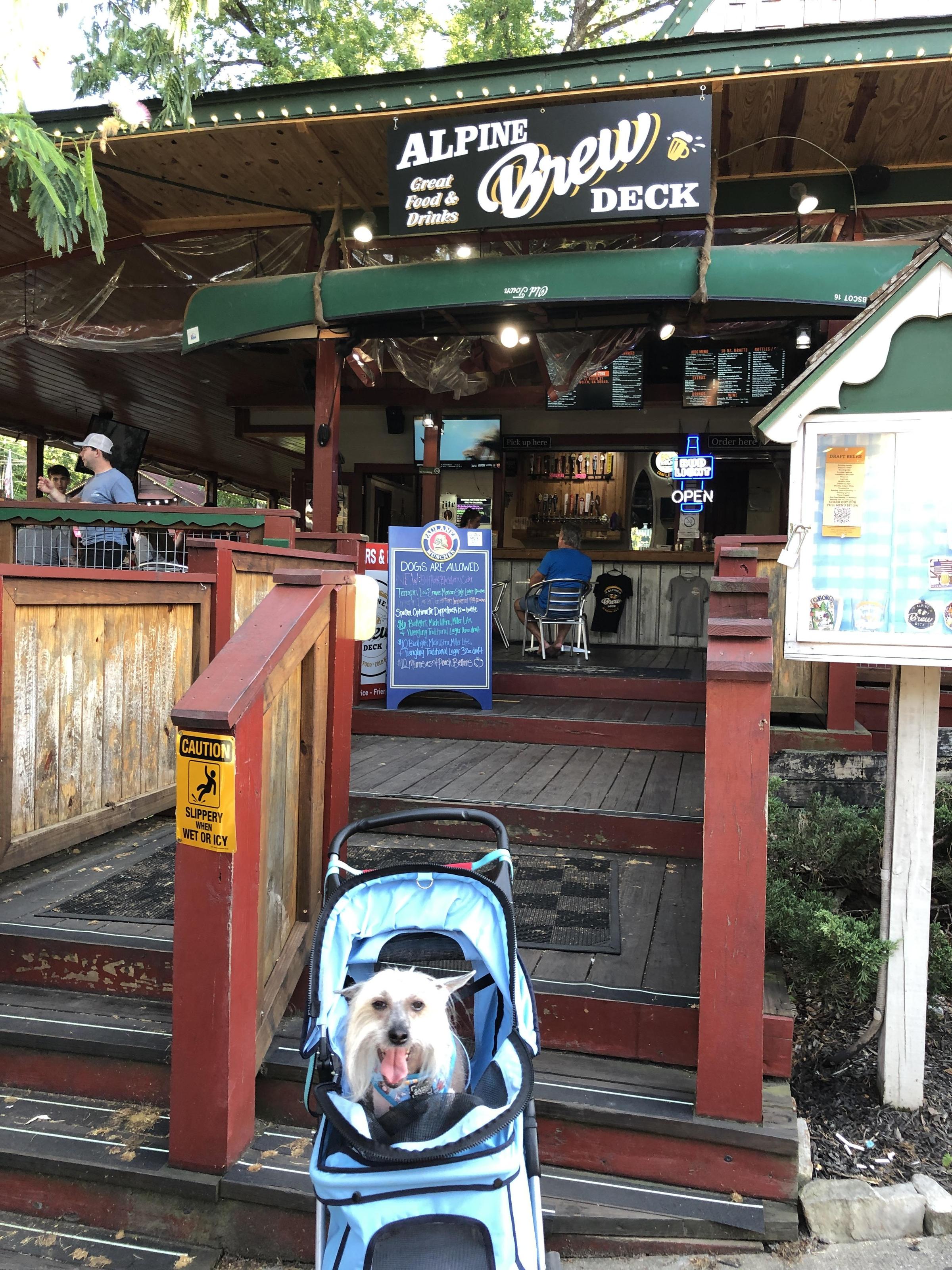 Hot day in Helen, GA ⋆ BringFido