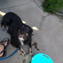 Rivertap Restaurant & Pub restaurant view 2