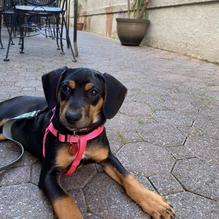 Meehan's of Huntington restaurant view 1