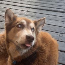 Hatch Taqueria & Tequilas restaurant view 2