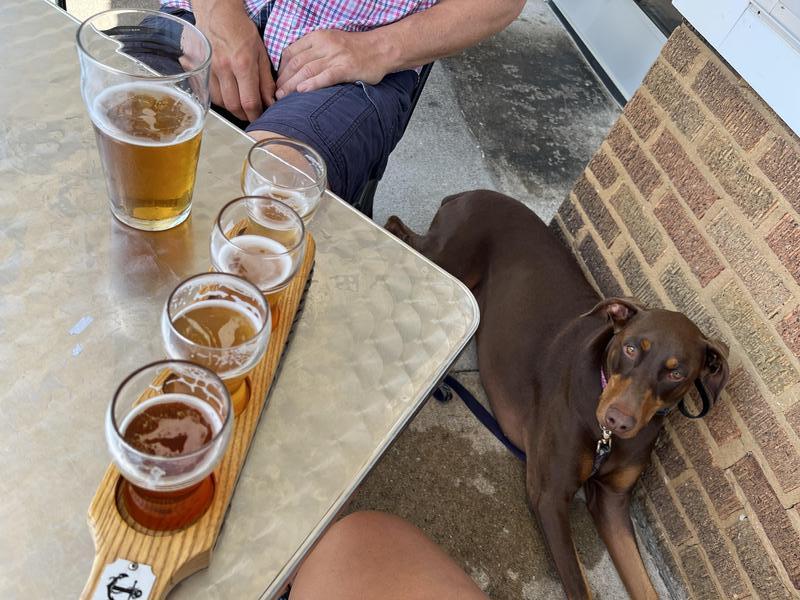 Boathouse Beer Co. & Boozery restaurant view 2