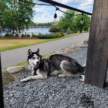 Mason's Brewing Co. restaurant view 6