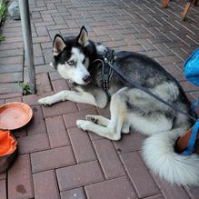 CherrySTONES restaurant view 3