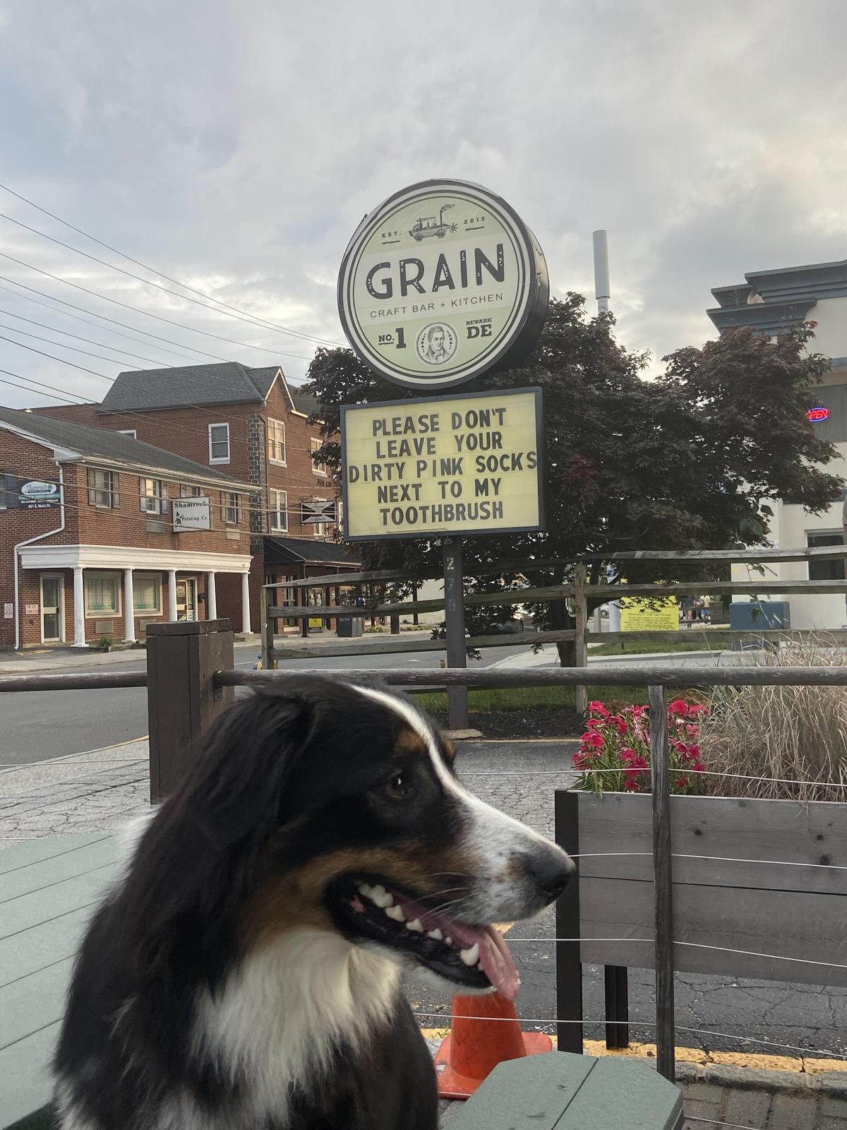 Grain Craft Bar + Kitchen restaurant view 4
