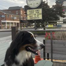 Grain Craft Bar + Kitchen restaurant view 4