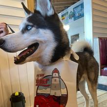 Ruth and Wimpy's restaurant view 1