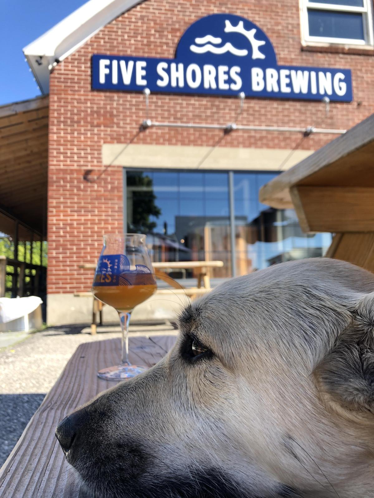 Five Shores Brewing restaurant view 3
