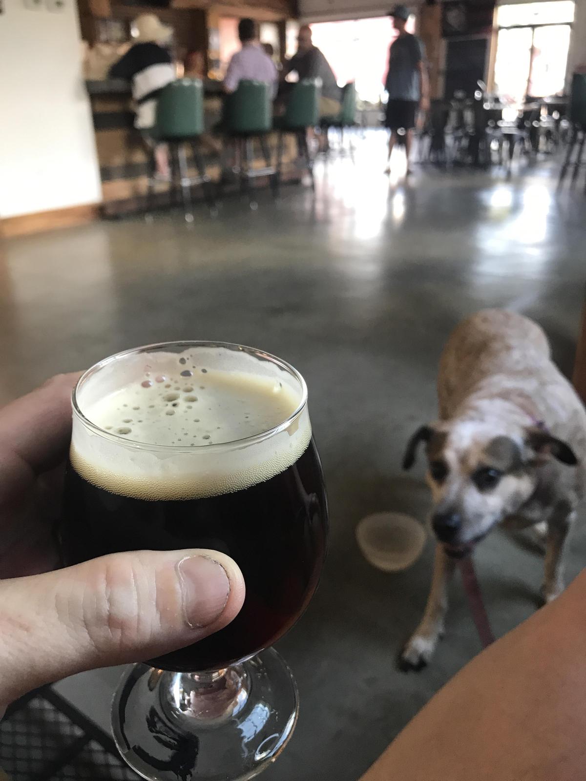 RockSolid Brewing Company restaurant view 1