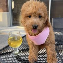 3 Flights Up Taps & Tacos restaurant view 1