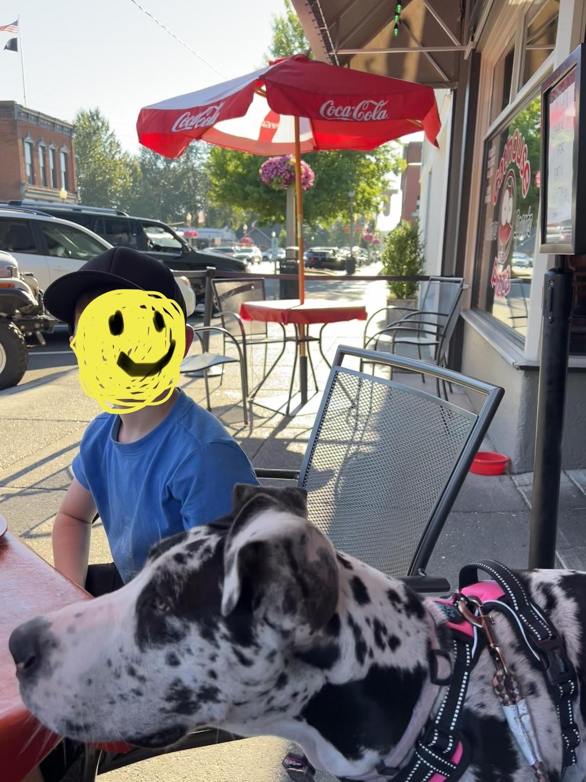 Cathouse Pizza restaurant view 1