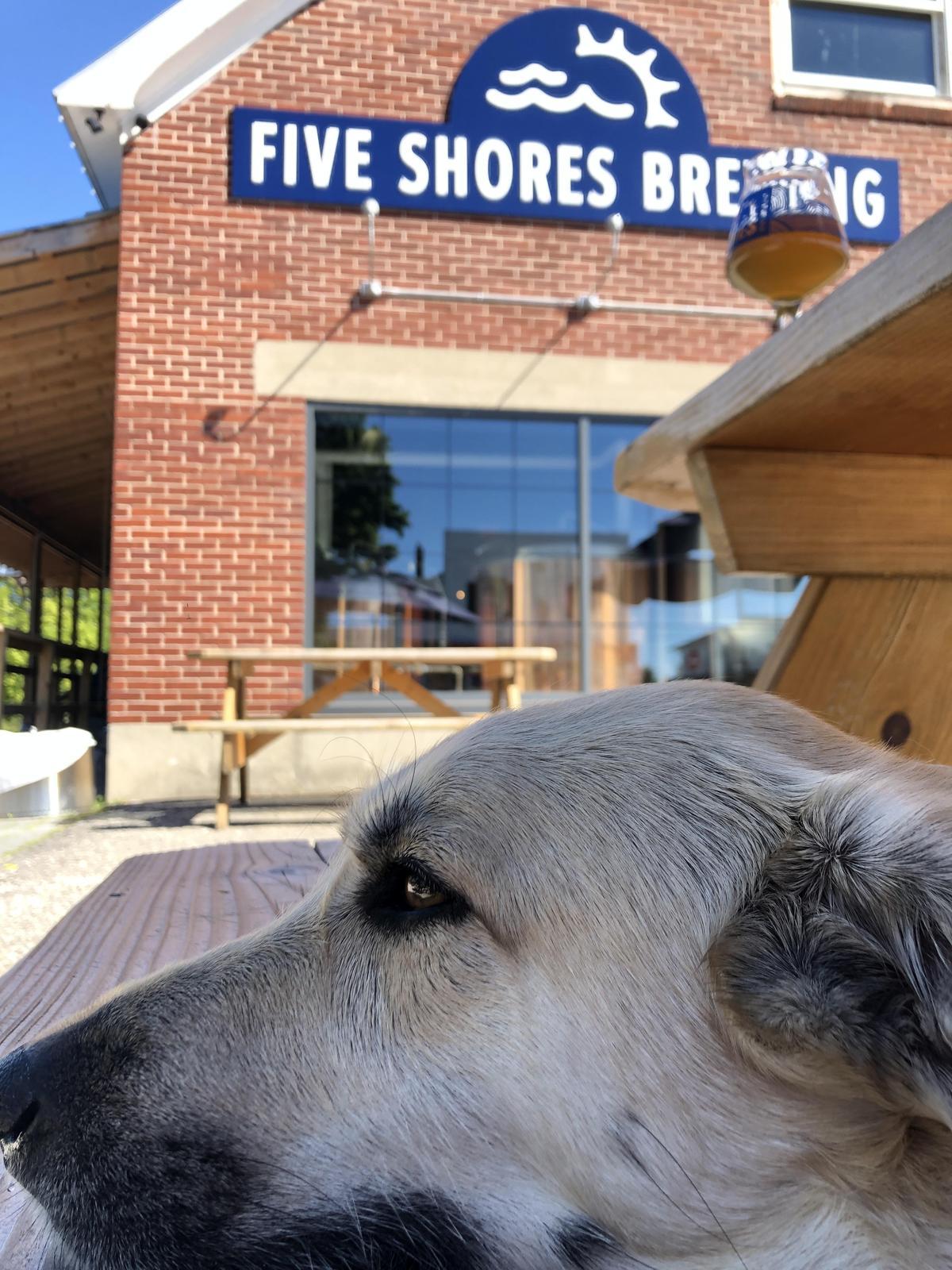 Five Shores Brewing restaurant view 2