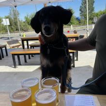 Annex Ale Project restaurant view 1