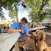 Dark Horse Brewing Company restaurant view 3