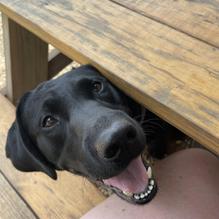 Kerber's Farm restaurant view 1