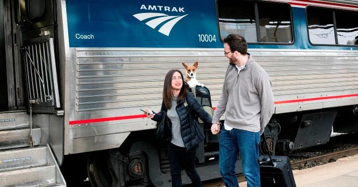can dogs go on amtrak