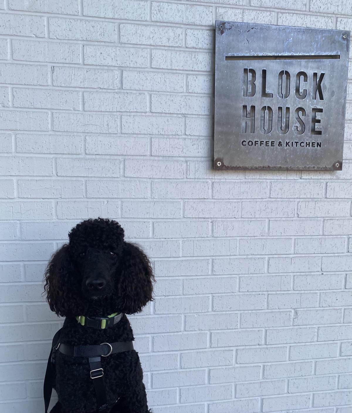 Blockhouse Coffee & Kitchen restaurant view 1