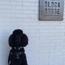 Blockhouse Coffee & Kitchen restaurant view 1