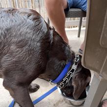 Boatyard Pub restaurant view 2