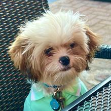 Blaze restaurant view 1