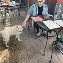 One Street Down Cafe restaurant view 1