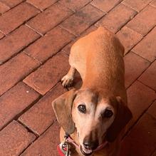 El Portal restaurant view 1