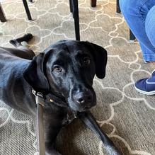 Lynnhaven Coffee Company restaurant view 1