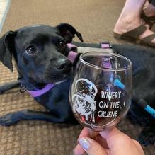 Winery on the Gruene restaurant view 2