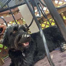 Highlands Hollow Brewhouse restaurant view 2